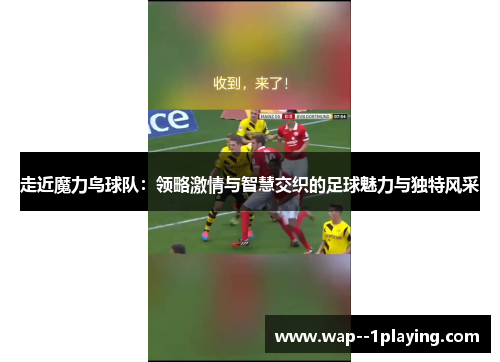 走近魔力鸟球队：领略激情与智慧交织的足球魅力与独特风采