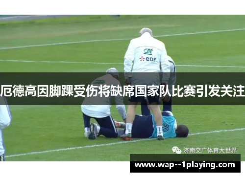 厄德高因脚踝受伤将缺席国家队比赛引发关注 厄德高因脚踝受伤将缺席国家队比赛引发关注