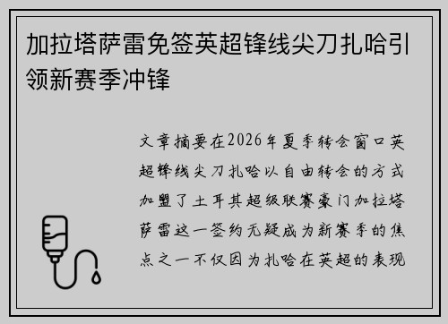 加拉塔萨雷免签英超锋线尖刀扎哈引领新赛季冲锋 加拉塔萨雷免签英超锋线尖刀扎哈引领新赛季冲锋